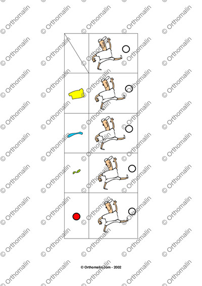 Page 3 de la fiche