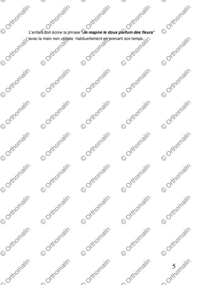 Page 5 de la fiche