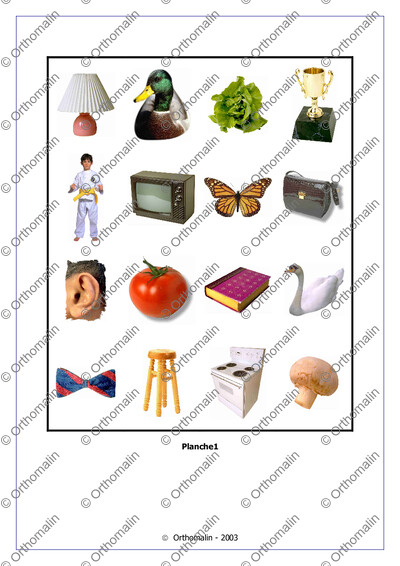 Page 3 de la fiche