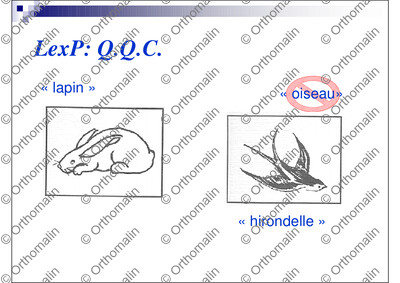 Page 13 de la fiche