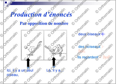 Page 25 de la fiche