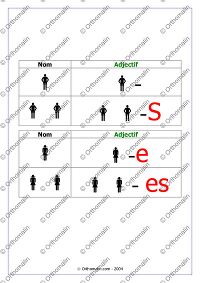 Page 2 de la fiche