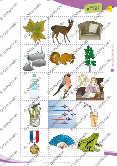 Page 6 de la fiche