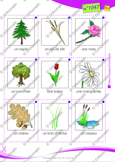 Page 10 de la fiche