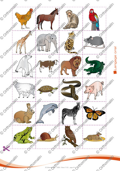 Page 4 de la fiche