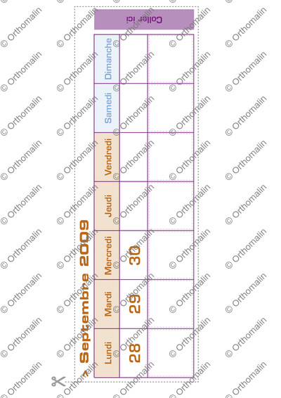 Page 31 de la fiche
