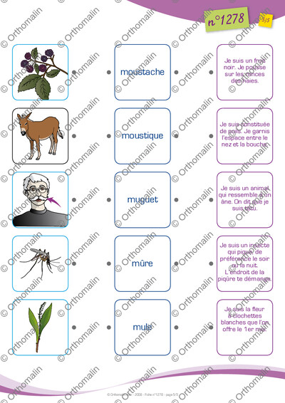 Page 5 de la fiche