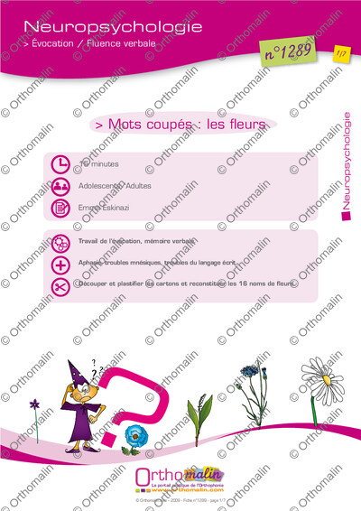 Page 1 de la fiche