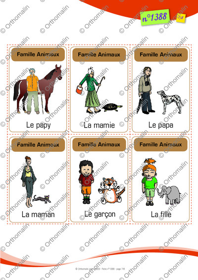 Page 7 de la fiche