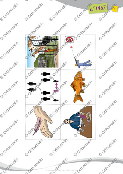 Page 5 de la fiche