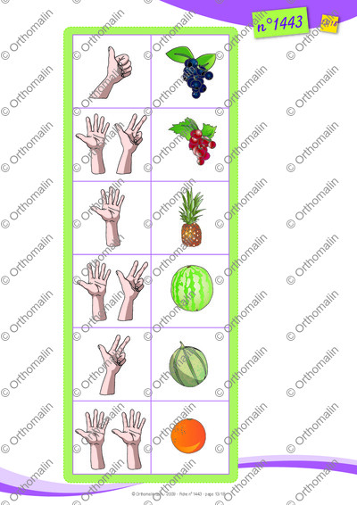 Page 13 de la fiche
