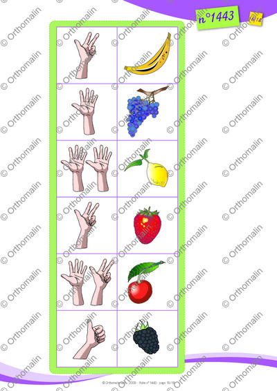 Page 16 de la fiche