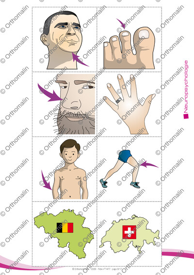 Page 8 de la fiche