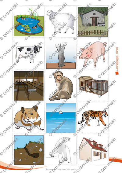 Page 7 de la fiche