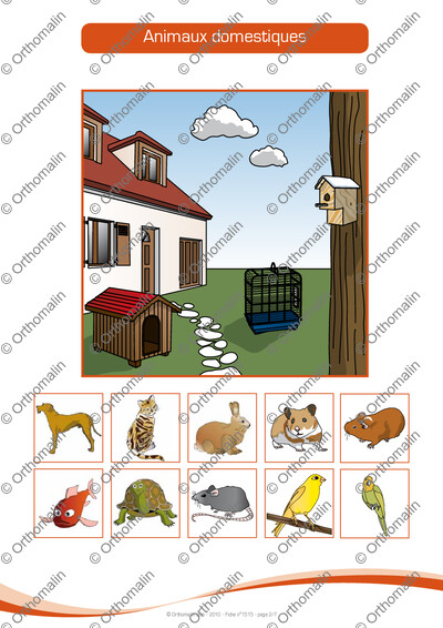 Page 2 de la fiche