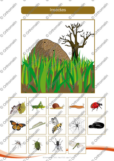 Page 7 de la fiche