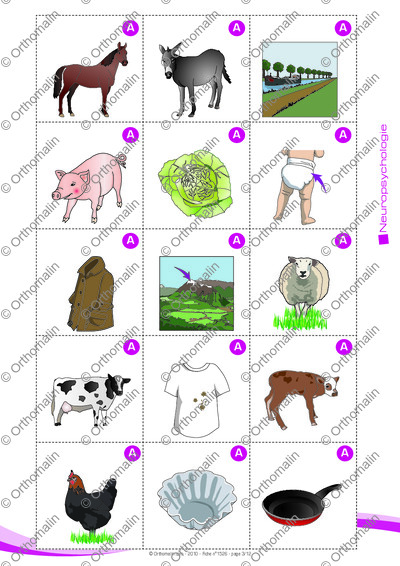 Page 3 de la fiche