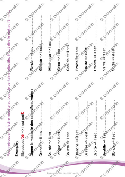 Page 2 de la fiche