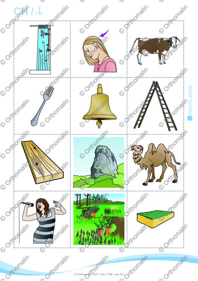 Page 3 de la fiche