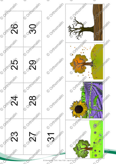 Page 8 de la fiche