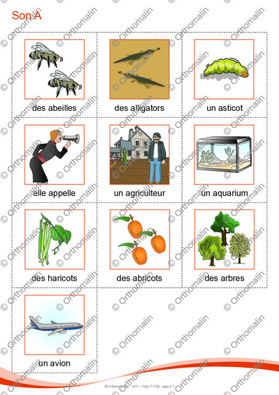 Page 2 de la fiche