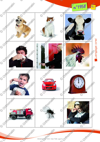 Page 6 de la fiche