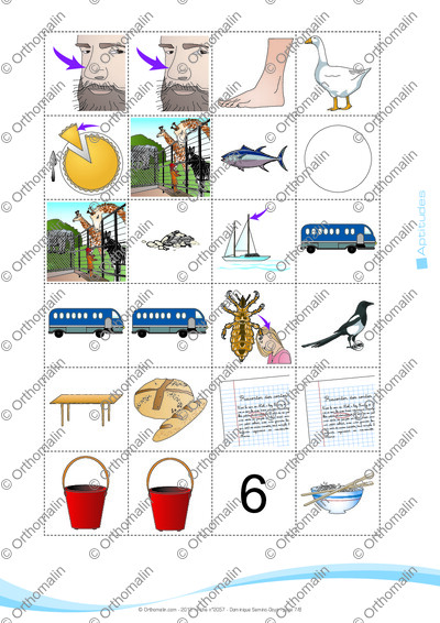 Page 7 de la fiche