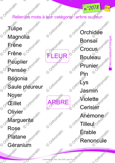 Page 2 de la fiche