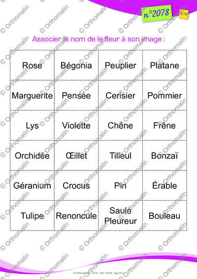 Page 4 de la fiche