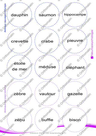 Page 7 de la fiche