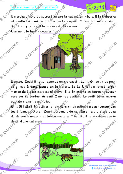 Page 13 de la fiche