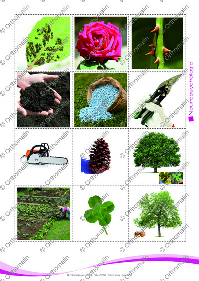 Page 9 de la fiche