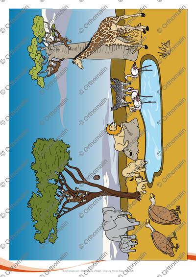 Page 6 de la fiche
