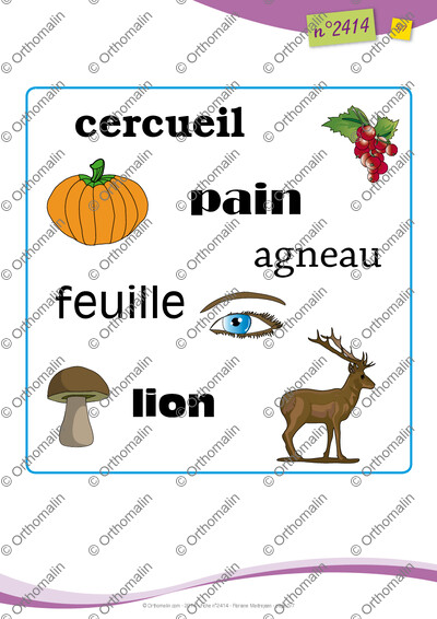 Page 5 de la fiche