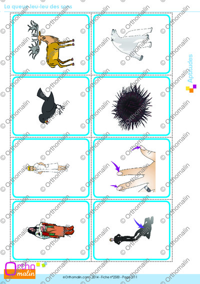 Page 5 de la fiche