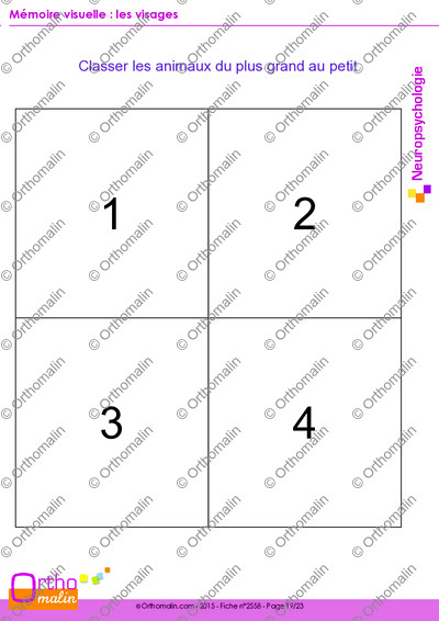 Page 19 de la fiche