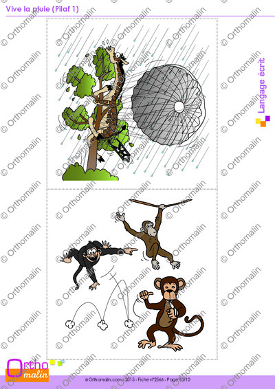 Page 10 de la fiche