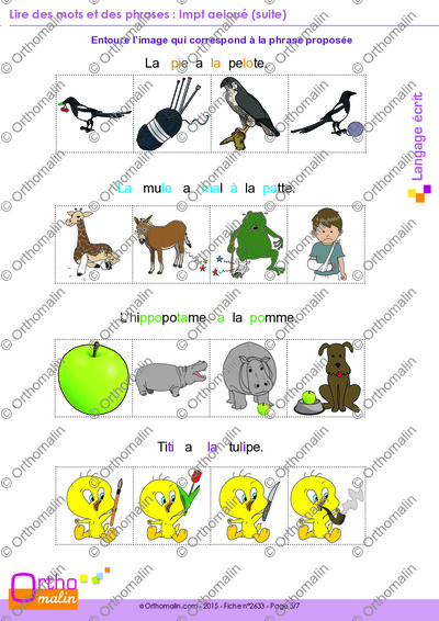 Page 5 de la fiche