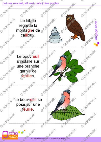Page 12 de la fiche