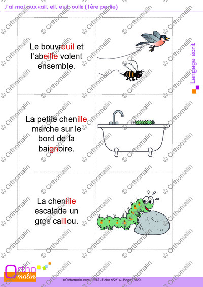 Page 13 de la fiche