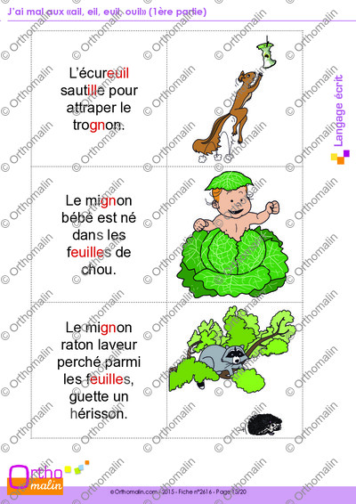 Page 15 de la fiche