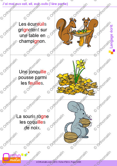 Page 16 de la fiche