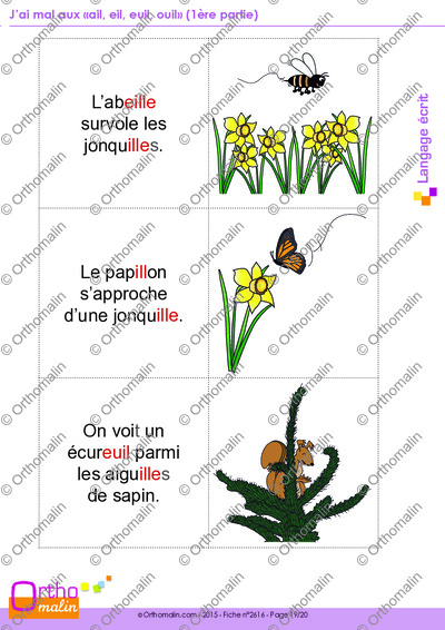 Page 19 de la fiche