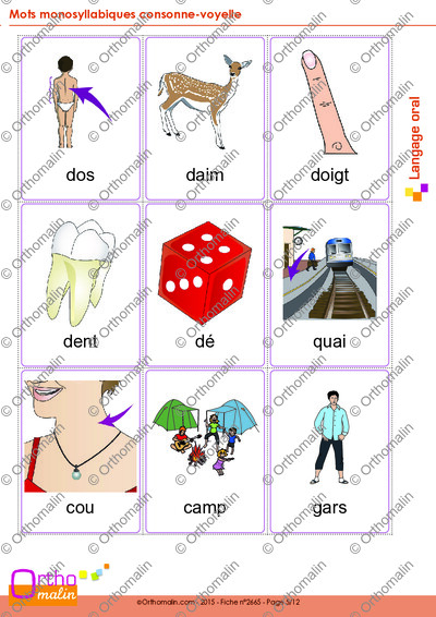 Page 5 de la fiche
