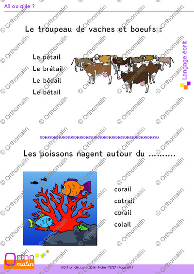 Page 6 de la fiche