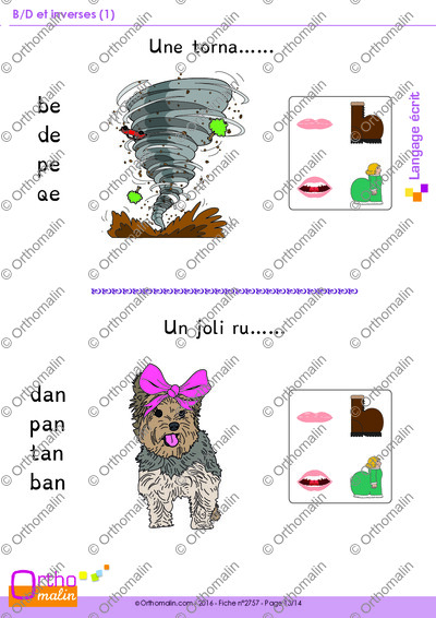 Page 13 de la fiche