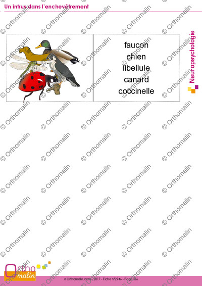 Page 5 de la fiche