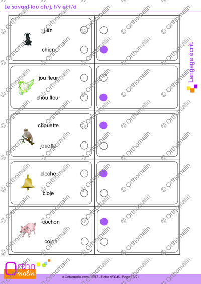 Page 13 de la fiche