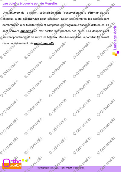 Page 16 de la fiche