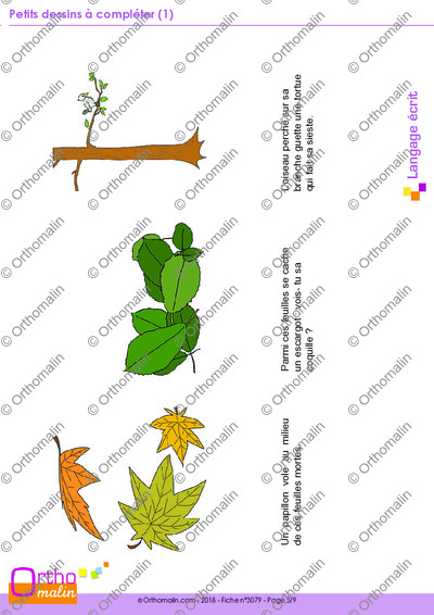 Page 5 de la fiche